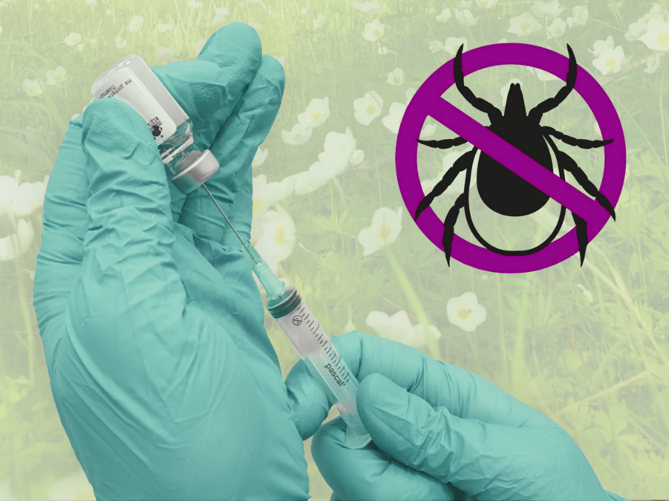 Весна — время вакцинации против клещевого энцефалита